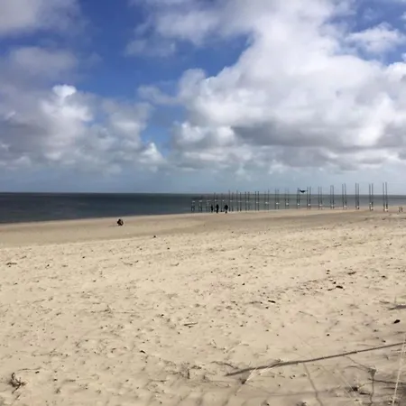 Pet-friendly Texel Escape De Cocksdorp (Texel)
