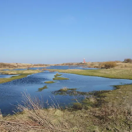 Pet-friendly Texel Escape Apartment *